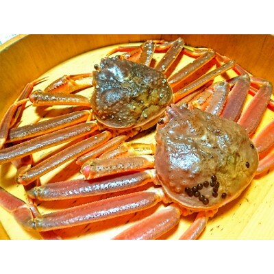 【先行予約】【魚倉】(生)若松葉ガニ　4尾分(足1～2本なし含む)