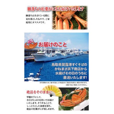 【先行予約】鳥取県産　訳あり浜茹で松葉がに　2～3枚で1.2kg以上(1～4本足落ち)