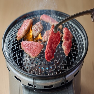 鳥取和牛5つの部位の焼肉盛り合わせ450g