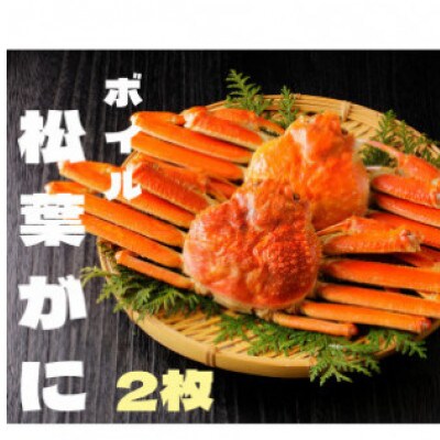 『鳥取の冬の味覚の王者』(ボイル)松葉がに　2枚　【年内配送】