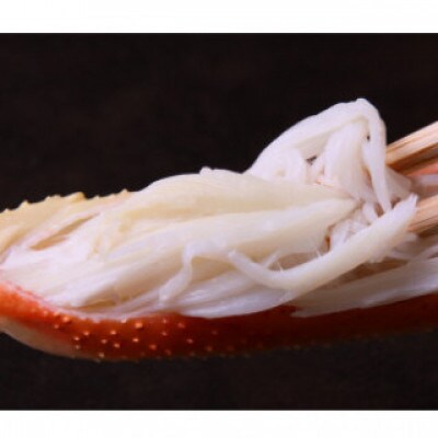 『鳥取の冬の味覚の王者』(ボイル)松葉がに　2枚　【2025年1月以降順次発送】