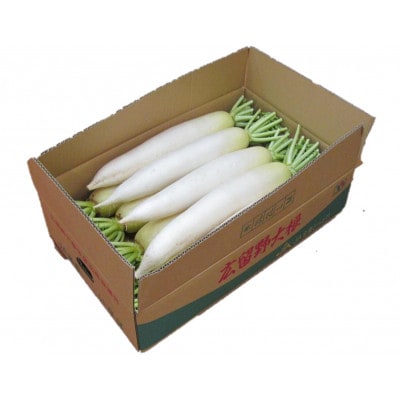 【期間限定】天空育ちの夏大根(約10kg)