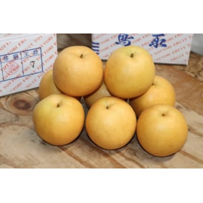 【特選】鳥取県産　新興　3kg《2026年9月下旬より順次発送》