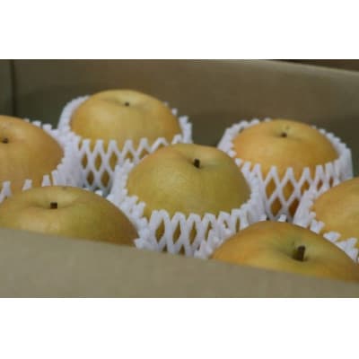 【特選】鳥取県産　新興　3kg《2026年9月下旬より順次発送》