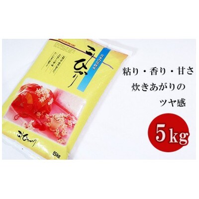 岐阜コシヒカリ 5kg