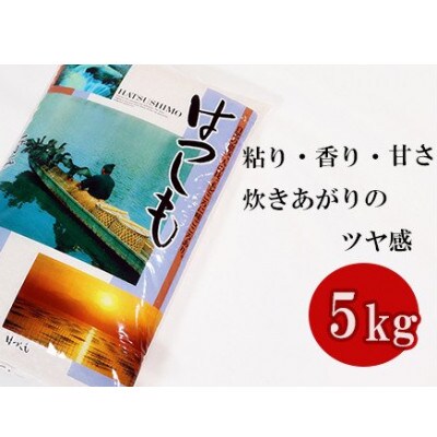 岐阜ハツシモ 5kg