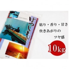 岐阜ハツシモ 10kg
