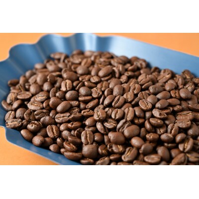 D カフェ・フランドル厳選コーヒー豆 ニカラグア産 (挽いた豆:200g×1、100g×2)