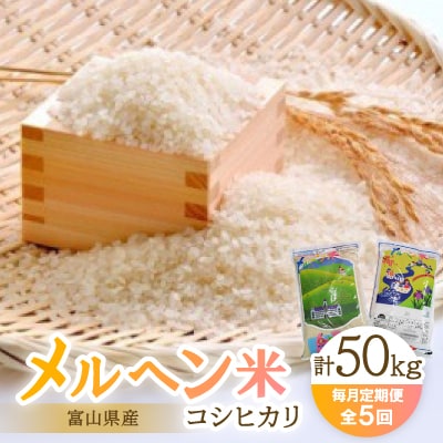 【毎月定期便】富山県メルヘン米コシヒカリ計50kg(10kg×5回)全5回