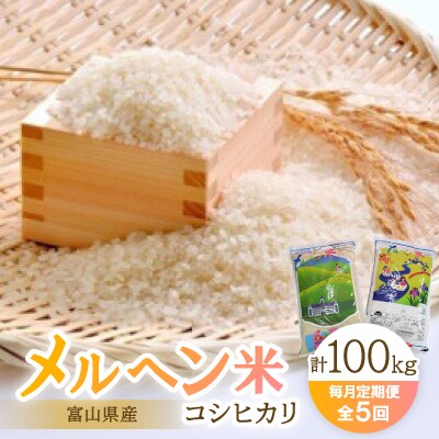 【毎月定期便】富山県メルヘン米コシヒカリ計100kg(20kg×5回)全5回