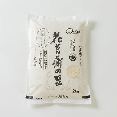 特別栽培米4kg(精米/ミルキークイーン・コシヒカリ 各2kg)