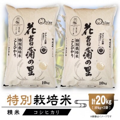 特別栽培米20kg (精米/コシヒカリ10kg×2)