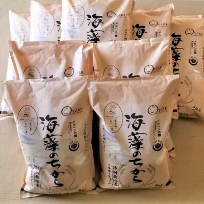 【毎月定期便】ミルキークイーン(海藻のちから)(精米)5kg全10回