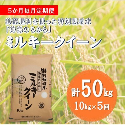 【毎月定期便】ミルキークイーン(海藻のちから)(精米)10kg全5回