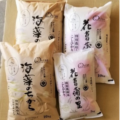 【毎月定期便】特別栽培米(ミルキークイーン・コシヒカリ)食べ比べセット計35kg全2回