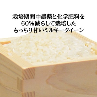 【毎月定期便】ミルキークイーン(海藻のちから)(精米)10kg全5回