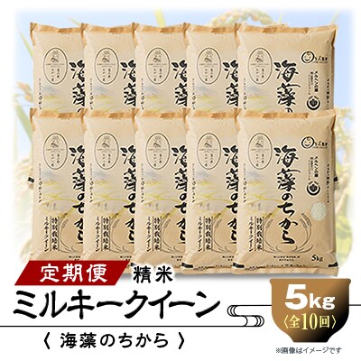 2023年10月発送開始『定期便』ミルキークイーン(海藻のちから)5kg×10ヶ月連続　全10回
