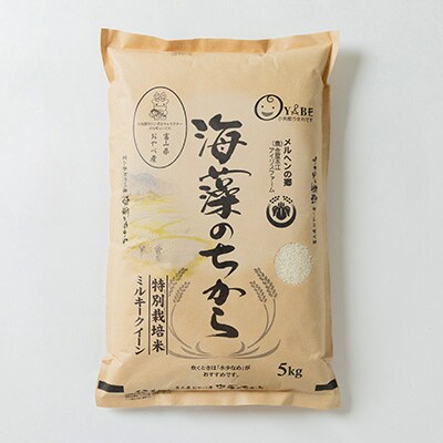 2023年10月発送開始『定期便』ミルキークイーン(海藻のちから)5kg×10ヶ月連続　全10回