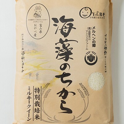 2023年10月発送開始『定期便』ミルキークイーン(海藻のちから)5kg×10ヶ月連続　全10回
