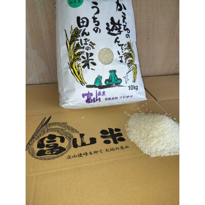 コシヒカリ精米　10kg