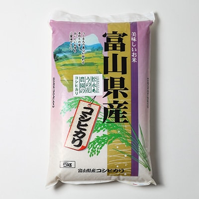 松永うの花農園産　コシヒカリ　5kg