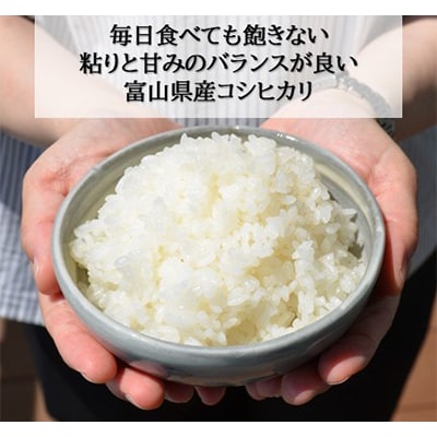 松永うの花農園産　コシヒカリ　10kg