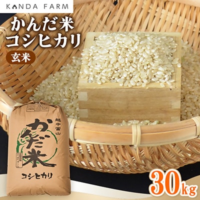 【令和7年産】鮮度の米　かんだ米『コシヒカリ』玄米　30kg×1袋