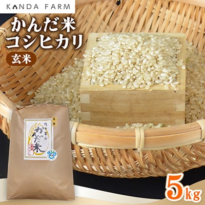 【令和7年産】鮮度の米　かんだ米『コシヒカリ』玄米　5kg×1袋