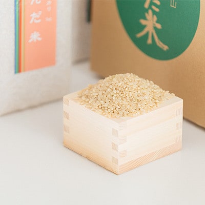 【令和8年産】鮮度の米　かんだ米『コシヒカリ』玄米　真空パック　1kg×10袋