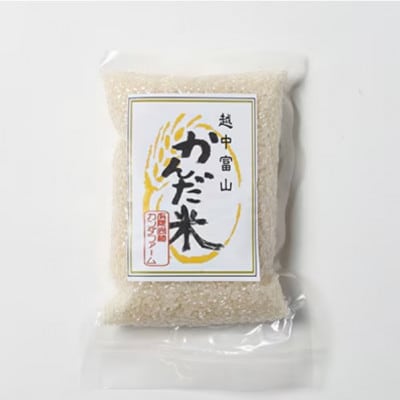 【毎月定期便】鮮度の米　かんだ米『コシヒカリ』精米　真空パック　2合×12袋全12回