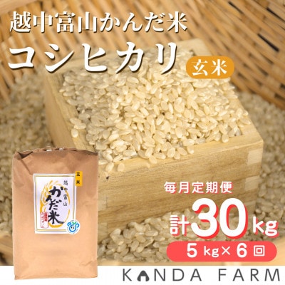 【毎月定期便】鮮度の米　かんだ米『コシヒカリ』　玄米　5kg×1袋全6回