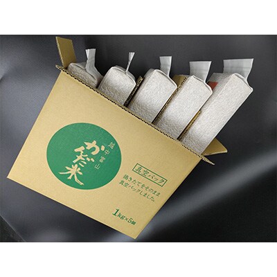2024年2月発送開始『定期便』鮮度の米　かんだ米『コシヒカリ』　精米真空パック1kg×5袋全5回