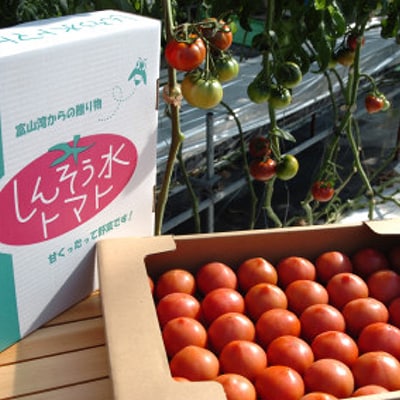 【事前受付】感動のフルーツトマト「深層水トマト」3キロ【濃厚な甘みと旨み】