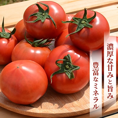 【事前受付】感動のフルーツトマト「深層水トマト」3キロ【濃厚な甘みと旨み】