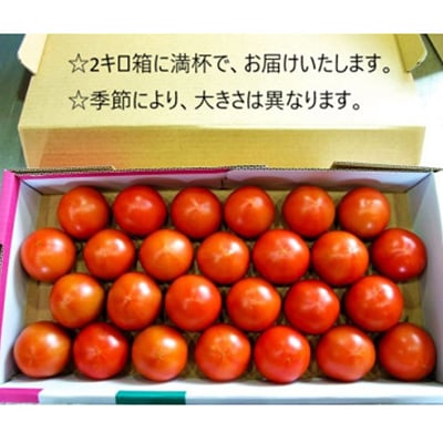 フルーツトマト(深層水トマト)2キロ【濃厚な甘みと旨み】