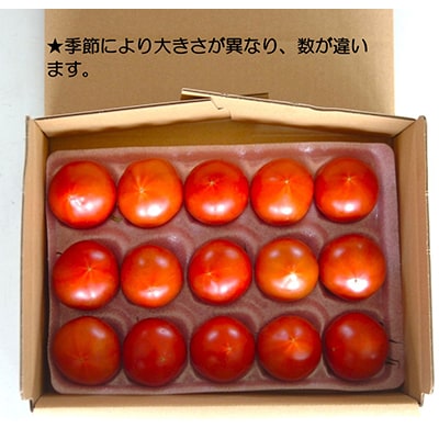 お試しサイズ!フルーツトマト「深層水トマト」約700g【濃厚な甘みと旨み】