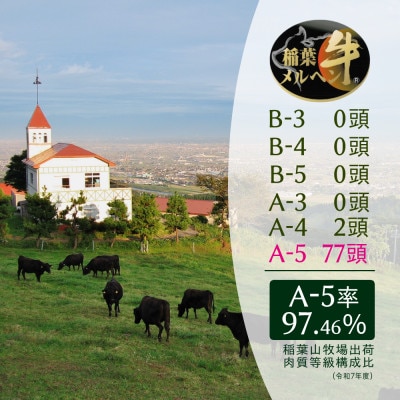 稲葉メルヘン牛(A5)　牛切り落とし400g