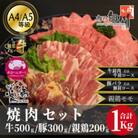 おやべのお肉焼肉セット1kg(和牛カルビ500g・豚300g・親鶏200g)