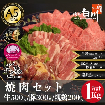 おやべのお肉焼肉セット1kg(和牛カルビ500g・豚300g・親鶏200g)