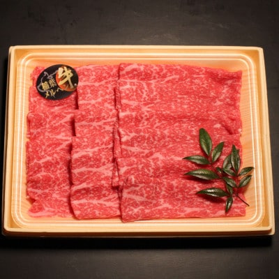 牛豚しゃぶしゃぶセット1kg(和牛モモ500g・豚ロース500g)