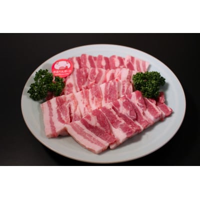 めるへんポーク　豚焼肉デイリーセット　1.1Kg (焼肉用500g、豚こま600g)