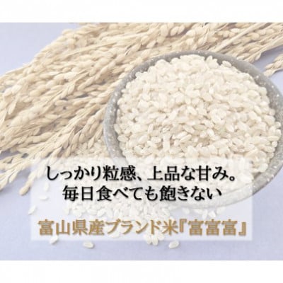 令和8年産 富山県産 「富富富」 玄米 30kg