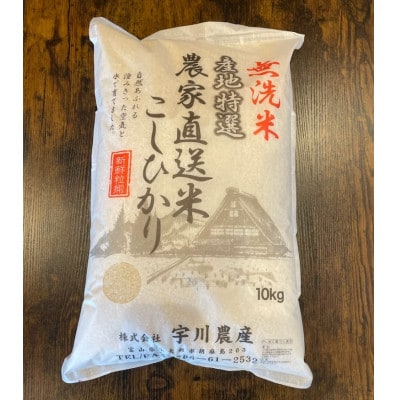 【令和6年産】慣行栽培コシヒカリ(無洗米)　精米　10kg