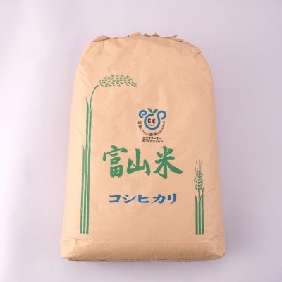 【令和8年産】慣行栽培コシヒカリ無洗米計27kg