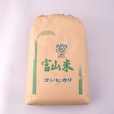 【令和8年産】慣行栽培コシヒカリ玄米30kg