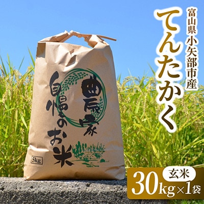 【2026年9月下旬頃から順次発送】令和8年産米「てんたかく」(玄米)30kg×1袋
