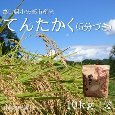 【2025年9月上旬頃から順次発送】令和7年産米「てんたかく」(5分づき)10kg×1袋