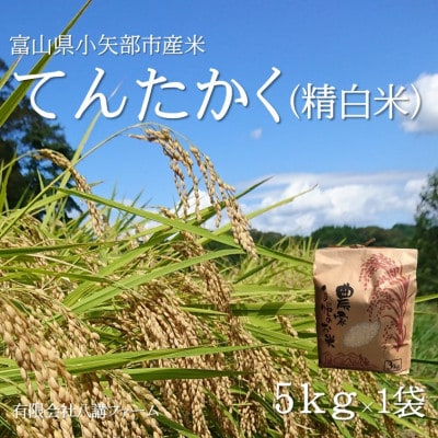 【2025年9月上旬頃から順次発送】令和7年産米「てんたかく」(精米)5kg×1袋