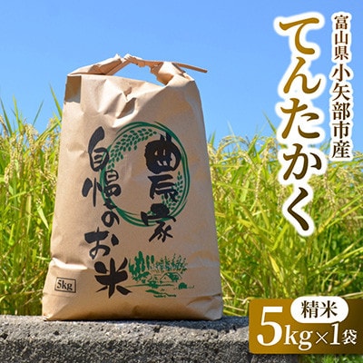 【2026年9月下旬頃から順次発送】令和8年産米「てんたかく」(精米)5kg×1袋