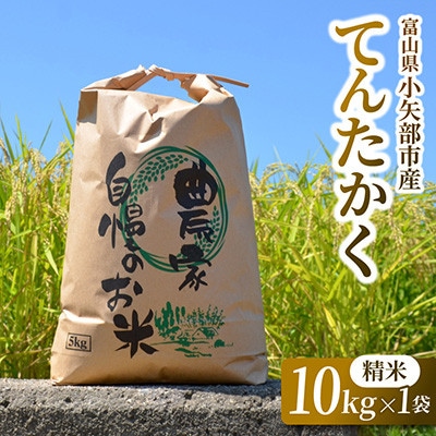 【2026年9月下旬頃から順次発送】令和8年産米「てんたかく」(精米)10kg×1袋